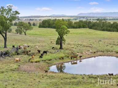 Farm Sold - NSW - Sedgefield - 2330 - A Stunning Blank Canvas  (Image 2)