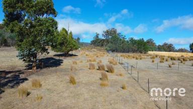 Farm For Sale - TAS - Molesworth - 7140 - Your dream block of land in Molesworth  (Image 2)