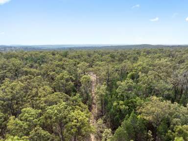 Farm Sold - QLD - Talgai - 4362 - Your very own slice of paradise!  (Image 2)