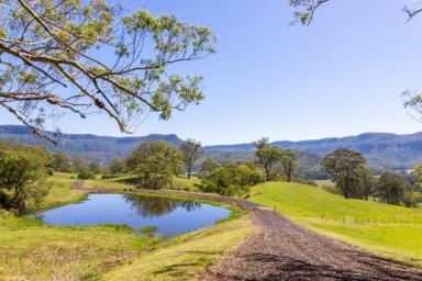 Farm For Sale - NSW - Kangaroo Valley - 2577 - MAGNIFICENT 100 ACRES IN - KANGAROO VALLEY  (Image 2)