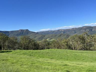 Farm For Sale - NSW - Kangaroo Valley - 2577 - MAGNIFICENT 100 ACRES IN - KANGAROO VALLEY  (Image 2)