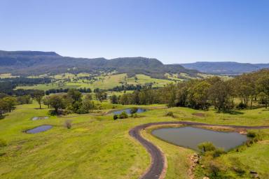 Farm For Sale - NSW - Kangaroo Valley - 2577 - 100 ACRES KANGAROO VALLEY ESCARPMENT VIEWS  (Image 2)