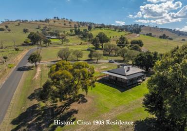 Farm Auction - NSW - Gundagai - 2722 - Reno - A Wonderful Country Lifestyle set in a Picturesque Location  (Image 2)