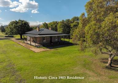 Farm Sold - NSW - Gundagai - 2722 - Reno - A Wonderful Country Lifestyle set in a Picturesque Location  (Image 2)