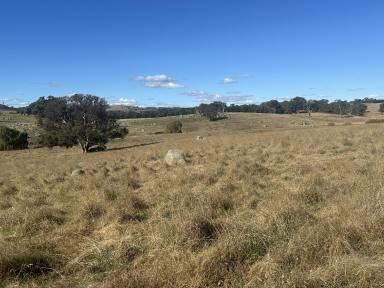 Farm For Sale - NSW - Gunning - 2581 - Premium Mixed Farming and Grazing Opportunity  (Image 2)
