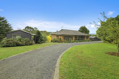 Farm For Sale - VIC - Crossover - 3821 - The Lifestyle Property You Have Been Waiting For!  (Image 2)