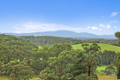 Farm For Sale - VIC - Crossover - 3821 - The Lifestyle Property You Have Been Waiting For!  (Image 2)