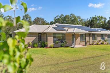 Farm Sold - NSW - Singleton - 2330 - Rural living only minutes to town  (Image 2)