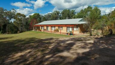 Farm For Sale - NSW - Inverell - 2360 - Serene Country Lifestyle  (Image 2)