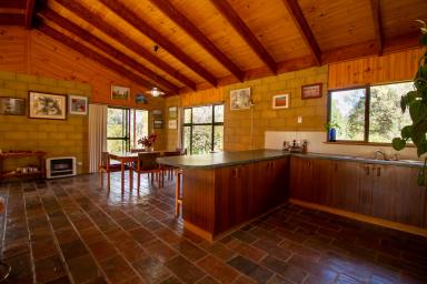 Farm For Sale - NSW - Inverell - 2360 - Serene Country Lifestyle  (Image 2)