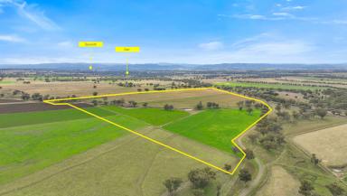 Farm For Sale - NSW - Duri - 2344 - PRIME LAND WITH ENDLESS POTENTIAL  (Image 2)