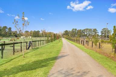 Farm For Sale - VIC - Pearcedale - 3912 - Perfect Blend of Rural Lifestyle and Agistment Potential  (Image 2)