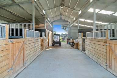 Farm For Sale - VIC - Pearcedale - 3912 - Perfect Blend of Rural Lifestyle and Agistment Potential  (Image 2)