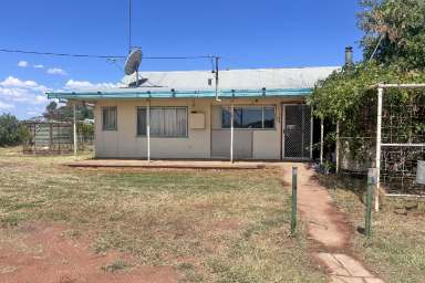 Farm Auction - NSW - Tullamore - 2874 - Need more land?  (Image 2)