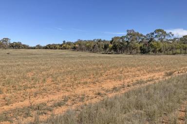 Farm For Sale - NSW - Tullamore - 2874 - Mixed farming opportunity  (Image 2)