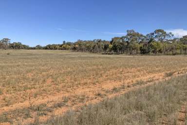 Farm For Sale - NSW - Tullamore - 2874 - Mixed farming opportunity  (Image 2)