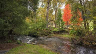 Farm Auction - VIC - Noojee - 3833 - Time Flows Differently Here - Tourism, Hospitality or Private Family Retreat  (Image 2)