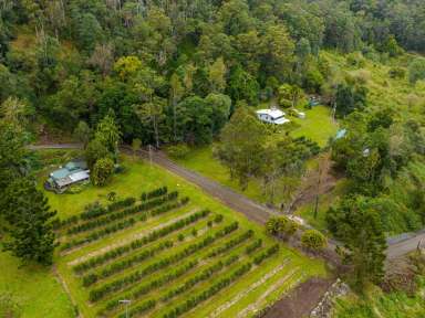 Farm Sold - NSW - Jiggi - 2480 - Your Relaxed Rural Lifestyle Awaits  (Image 2)