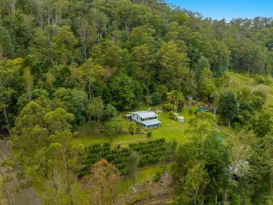 Farm Sold - NSW - Jiggi - 2480 - Your Relaxed Rural Lifestyle Awaits  (Image 2)