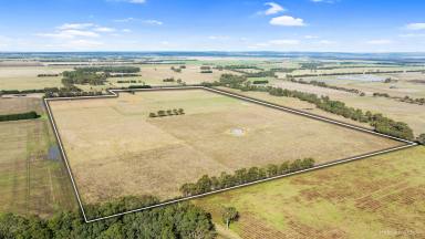 Farm For Sale - VIC - Toongabbie - 3856 - Ideal Lifestyle or Turnout paddock   (Image 2)