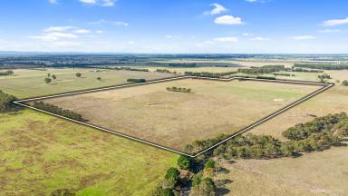 Farm For Sale - VIC - Toongabbie - 3856 - Ideal Lifestyle or Turnout paddock   (Image 2)