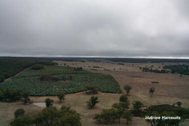 Farm For Sale - WA - Perup - 6258 - SCALE AND DIVERSITY IN PRIME SOUTH WEST WA.  (Image 2)