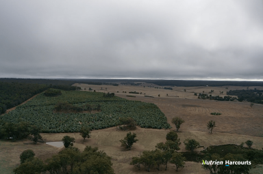 Farm For Sale - WA - Perup - 6258 - SCALE AND DIVERSITY IN PRIME SOUTH WEST WA.  (Image 2)