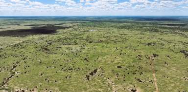 Farm For Sale - QLD - Isisford - 4731 - Exceptional Barcoo River Backgrounding Opportunity  (Image 2)