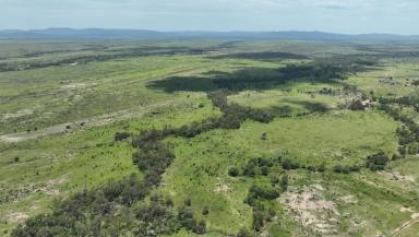 Farm For Sale - QLD - Alpha - 4724 - Outstanding Backgrounding and Finishing Opportunity  (Image 2)