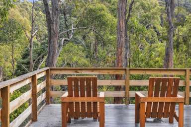 Farm Sold - TAS - Longley - 7150 - Riverside oasis  (Image 2)