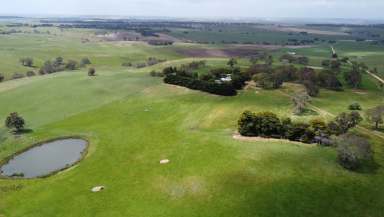 Farm For Sale - VIC - Carapook - 3312 - Picturesque and Productive  (Image 2)