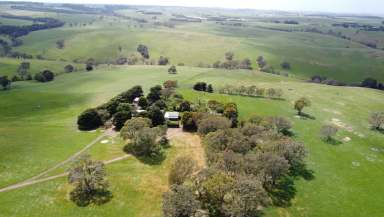 Farm For Sale - VIC - Carapook - 3312 - Picturesque and Productive  (Image 2)