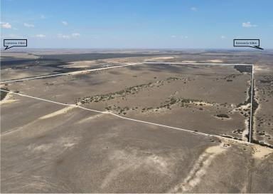 Farm For Sale - SA - Lameroo - 5302 - 400 Acres of Grazing Country.  (Image 2)