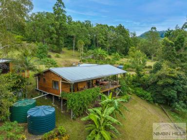 Farm For Sale - NSW - Eden Creek - 2474 - Rainforest Retreat  (Image 2)
