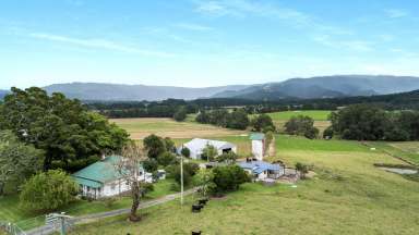 Farm Sold - NSW - Berry - 2535 - Deceased Estate - Must Sell!  (Image 2)