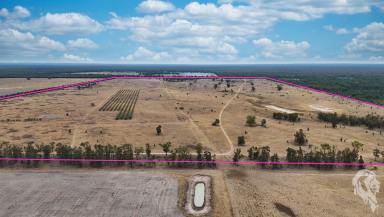 Farm For Sale - NSW - Bohena Creek - 2390 - ENTRY LEVEL FARM WITH WATER LICENCE AND INFRASTRUCTURE IN PLACE  (Image 2)