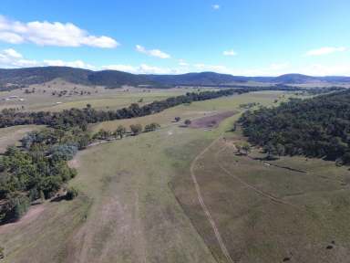 Farm For Sale - QLD - Mingoola - 4380 - MINGOOLA STATION  (Image 2)