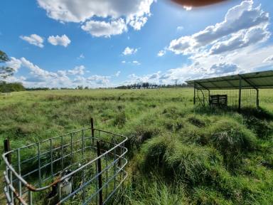Farm For Sale - QLD - Inverlaw - 4610 - Elevated sites for your Dream Home -  Breath Taking Views  (Image 2)