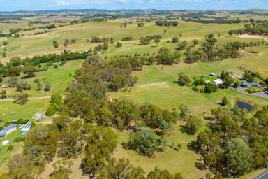 Farm Sold - NSW - Lyndhurst - 2797 - THE PERFECT RURAL BLOCK 10.86AC TO BUILD YOUR DREAM HOME!  (Image 2)