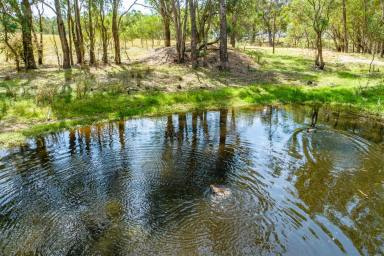 Farm For Sale - NSW - Lyndhurst - 2797 - THE PERFECT RURAL BLOCK 10.86AC TO BUILD YOUR DREAM HOME!  (Image 2)