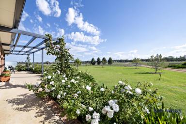 Farm For Sale - NSW - Terramungamine - 2830 - "The Range" - Tranquil Country Living Close to Dubbo  (Image 2)