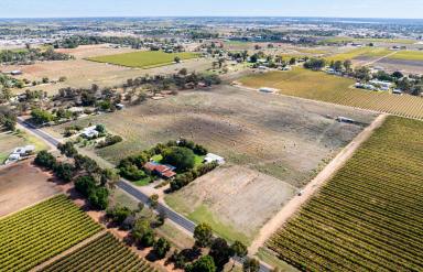 Farm For Sale - VIC - Irymple - 3498 - "Buy, Build & Never Look Back"  (Image 2)
