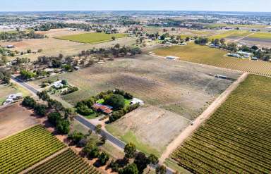 Farm For Sale - VIC - Irymple - 3498 - "Buy, Build & Never Look Back"  (Image 2)