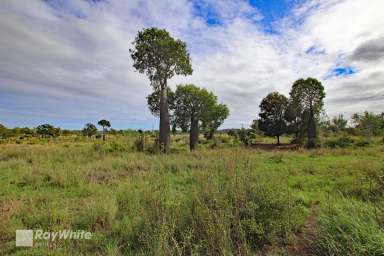 Farm Sold - QLD - Ulogie - 4702 - Dixalea River Frontage - Grazing and Cropping Options  (Image 2)