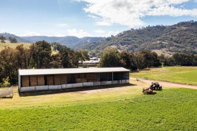 Farm Auction - NSW - Ogunbil - 2340 - Seasonal Security With 3 Income Streams “Bywondah”, Dungowan – Tamworth  (Image 2)