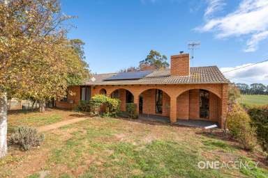 Farm Sold - TAS - West Mooreville - 7321 - A Large Family Home With Rolling Hills On This Acreage Property  (Image 2)