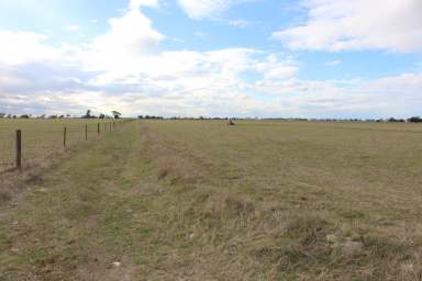 Farm For Sale - SA - Keith - 5267 - HARD TO FIND - BLANK CANVAS - SMALL/MEDIUM ACREAGE  (Image 2)