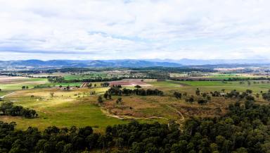 Farm For Sale - QLD - Tamrookum - 4285 - Lifestyle Property in the Picturesque Scenic Rim  (Image 2)