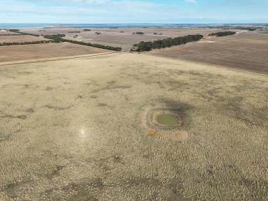 Farm For Sale - VIC - Berrybank - 3323 - HEALTHY SOUTH WEST VICTORIA COUNTRY  (Image 2)