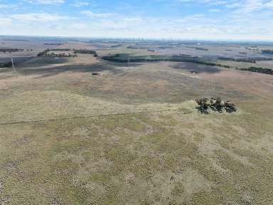 Farm For Sale - VIC - Berrybank - 3323 - HEALTHY SOUTH WEST VICTORIA COUNTRY  (Image 2)